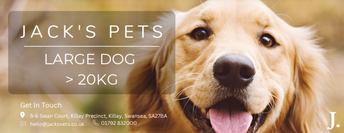 Jack's Pets - Large Dog