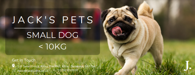 Jack's Pets - Small Dog